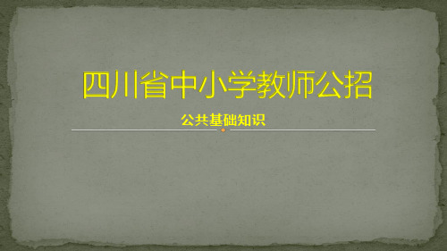 四川省中小学教师公招  教育学基础知识(八)班级管理与班主任工作