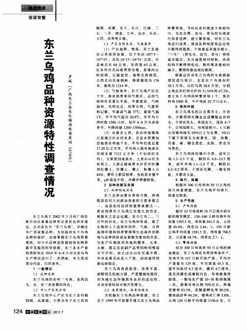 东兰乌鸡品种资源特性调查情况