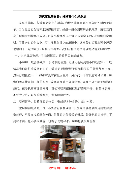 消灭家里的厨房小蟑螂有什么好办法