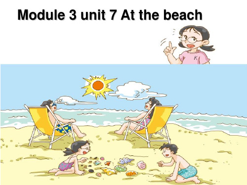 Unit 7   At the beach