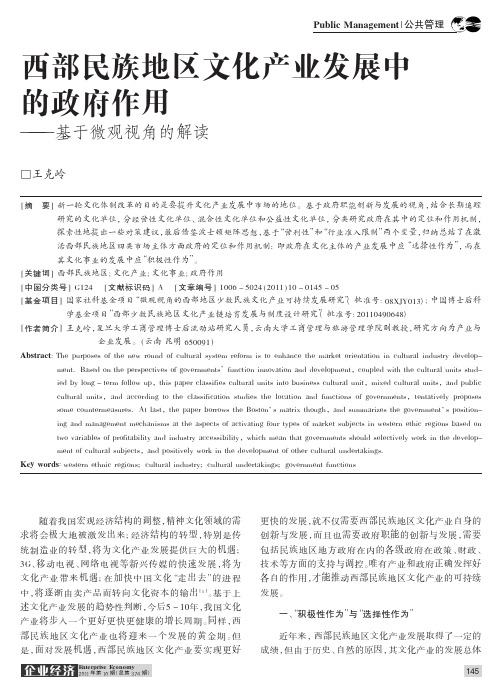 西部民族地区文化产业发展中的政府作用——基于微观视角的解读