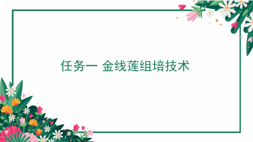 植物组织培养技术—金线莲组培技术