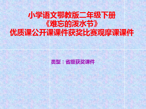 小学语文鄂教版二年级下册《难忘的泼水节》优质课公开课课件获奖课件比赛观摩课课件B006