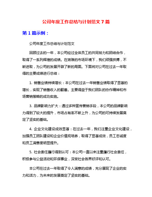 公司年度工作总结与计划范文7篇