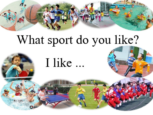 U5L1课件what sport do you like