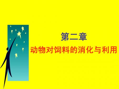 动物营养学西北农林科技大学PPT课件