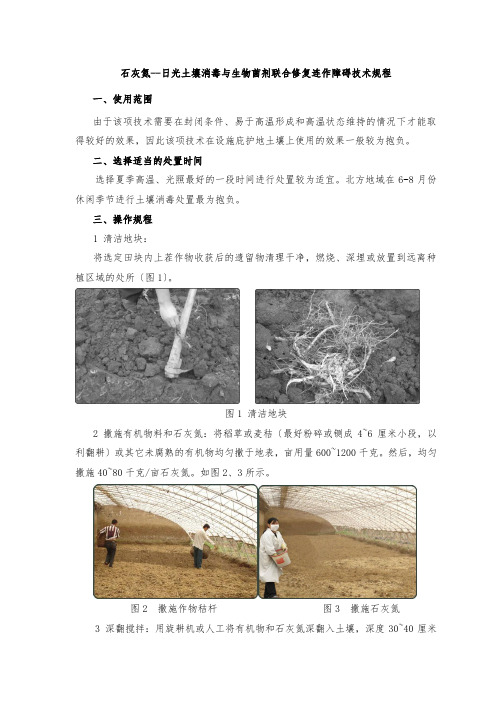 石灰氮--日光土壤消毒与生物菌剂联合修复连作障碍技术...