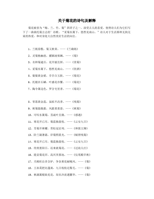 关于菊花的诗句及解释