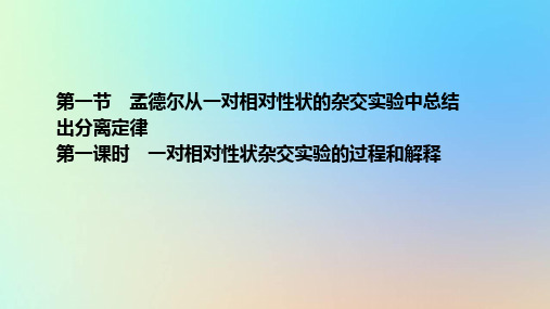 2024年新教材高中生物：一对相对性状杂交实验的过程和解释课件