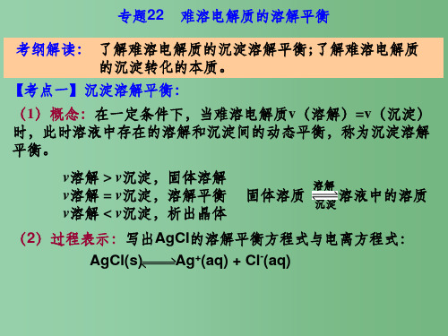 高考化学一轮复习 专题22 难溶电解质的溶解平衡课件