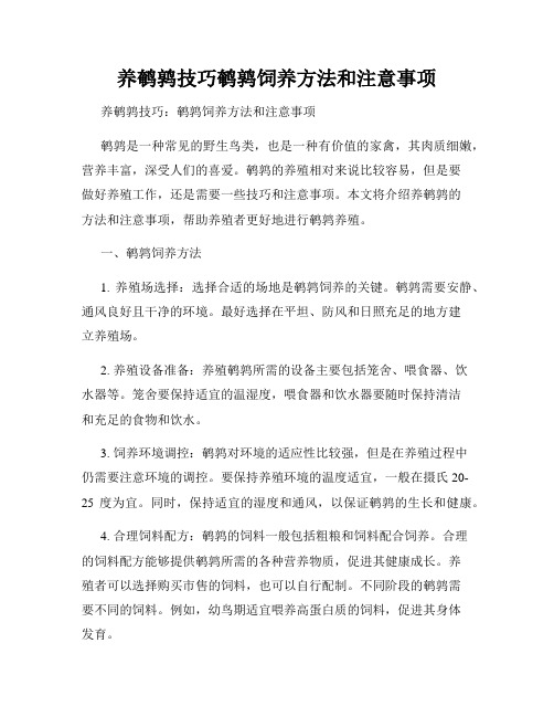 养鹌鹑技巧鹌鹑饲养方法和注意事项