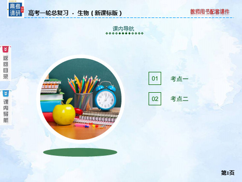高三复习 生命活动的主要承担者——蛋白质