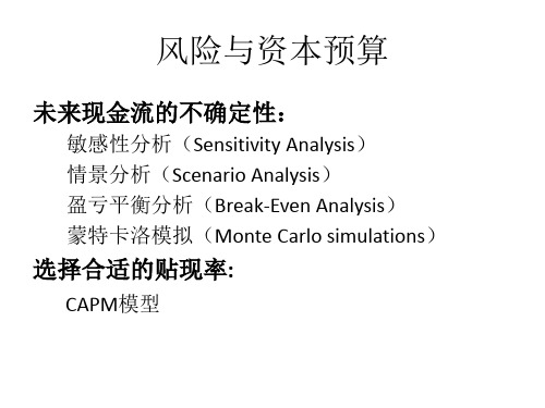 公司理财风险与资本预算