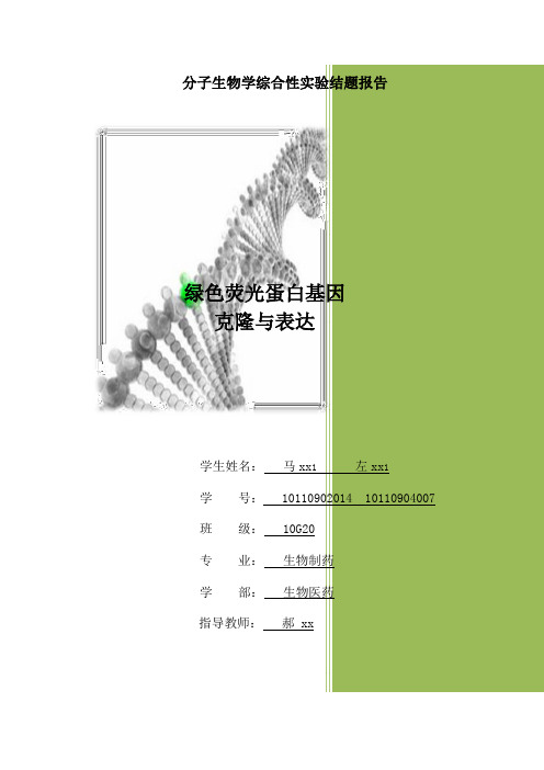 绿色荧光蛋白基因重组与鉴定