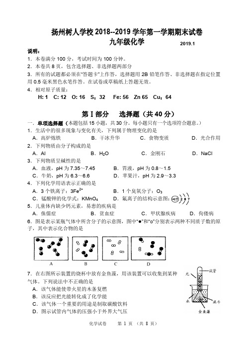 扬州树人学校 2018–2019 学年第一学期期末试卷九年级化学(含答案)