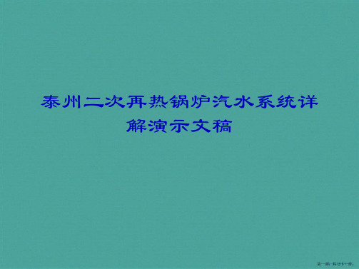 泰州二次再热锅炉汽水系统详解演示文稿