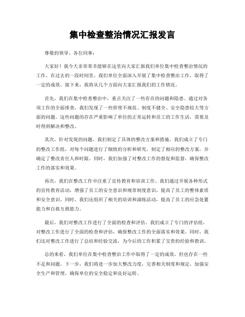 集中检查整治情况汇报发言