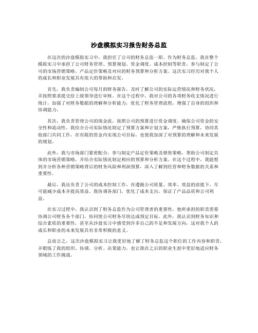 沙盘模拟实习报告财务总监