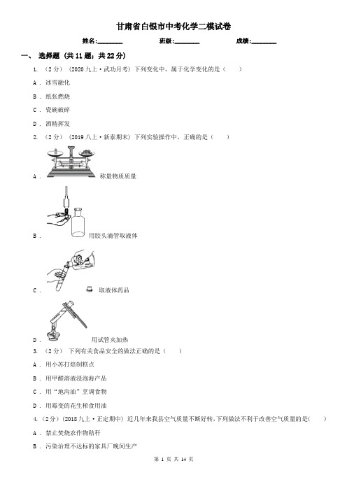 甘肃省白银市中考化学二模试卷