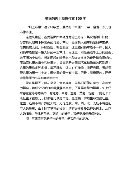 美丽的坝上草原作文500字