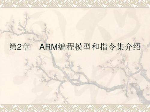 第2章ARM编程模型和指令集介绍讲述