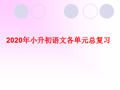 2020年小升初语文各单元总复习