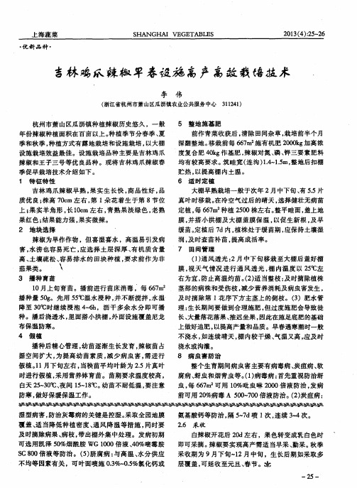 吉林鸡爪辣椒早春设施高产高效栽培技术