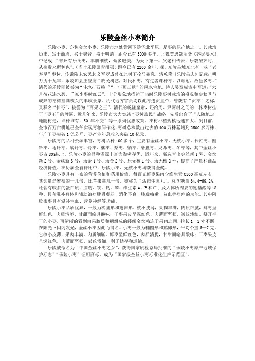 乐陵金丝小枣简介