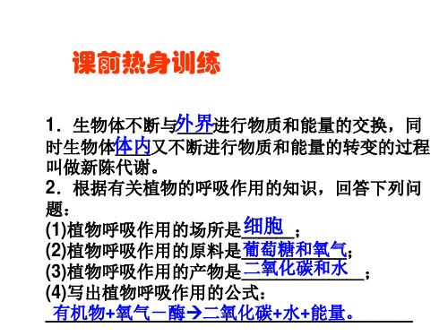 九年级科学绿色植物的新陈代谢(PPT)4-3