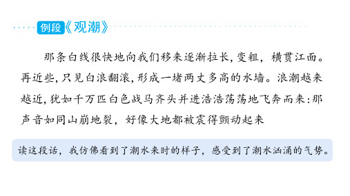 部编版语文四年级上册单元主题阅读第一单元自然之美课件54张PPT.pptx