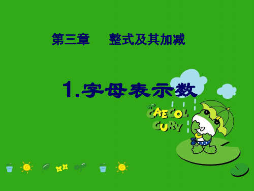 《字母表示数》PPT课件 (公开课获奖)2022年北师大版 (2)