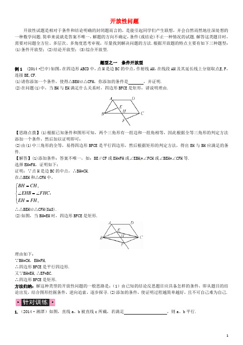 中考数学专题复习 开放性问题