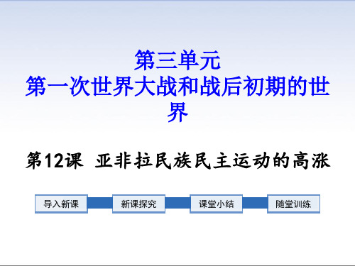 人教版九年级下册历史课件  第12课亚洲殖民地人民的抗争