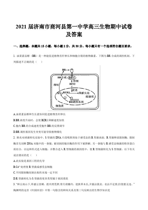 2021届济南市商河县第一中学高三生物期中试卷及答案