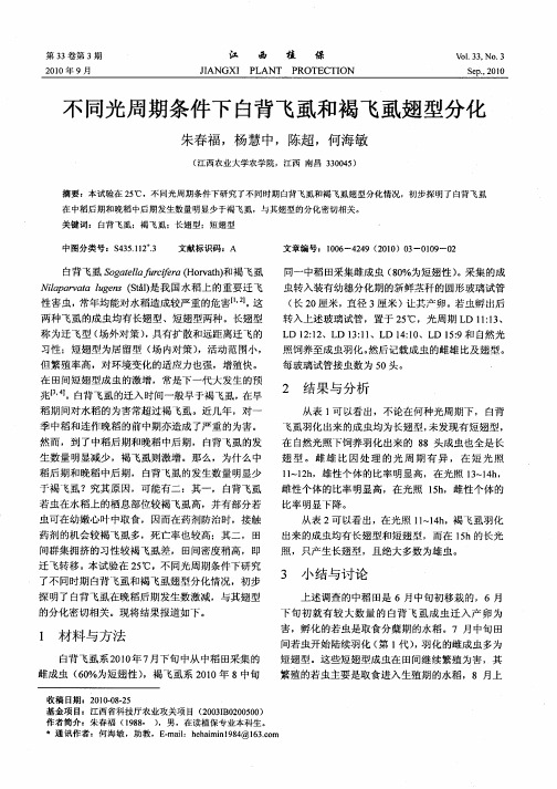 不同光周期条件下白背飞虱和褐飞虱翅型分化