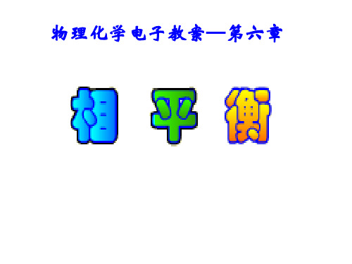 06 相平衡