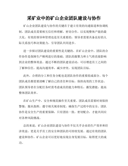 采矿业中的矿山企业团队建设与协作