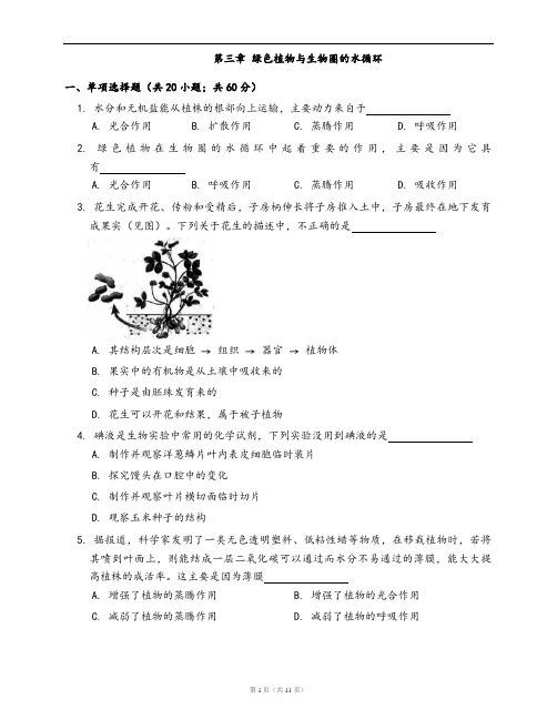 人教版生物七年级上册单元检测卷附答案第三章 绿色植物与生物圈的水循环