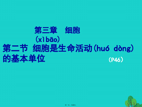 七年级生物上册2.3.2细胞是生命活动的基本单位课件北师大版