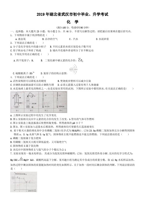 2019年湖北省武汉市中考化学试题(含解析)