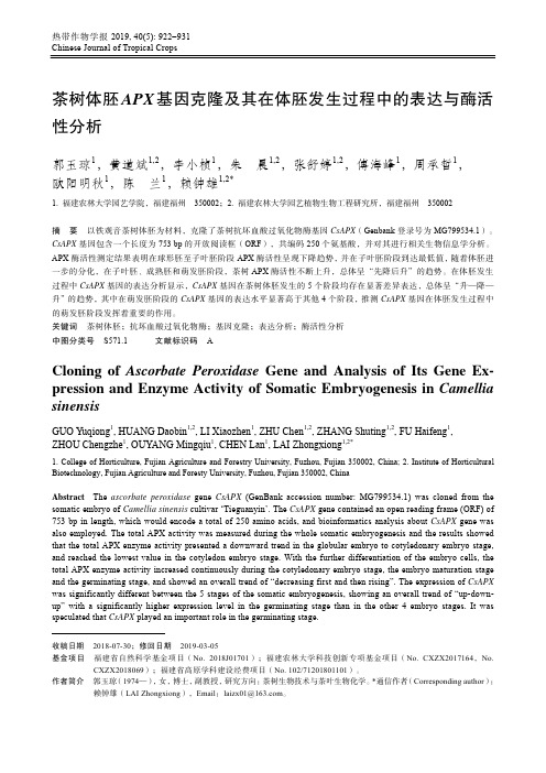 茶树体胚APX基因克隆及其在体胚发生过程中的表达与酶活性分析