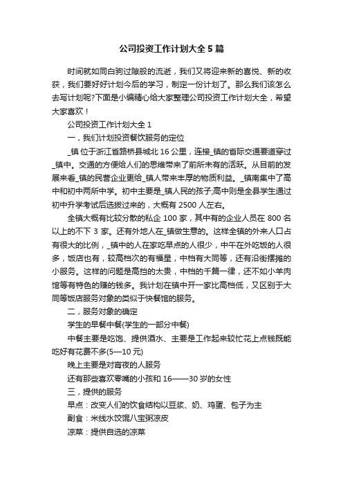 公司投资工作计划大全5篇