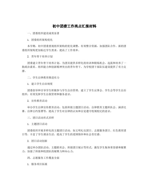 初中团委工作亮点汇报材料