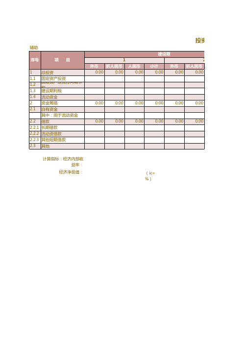 投资计划与资金筹措表