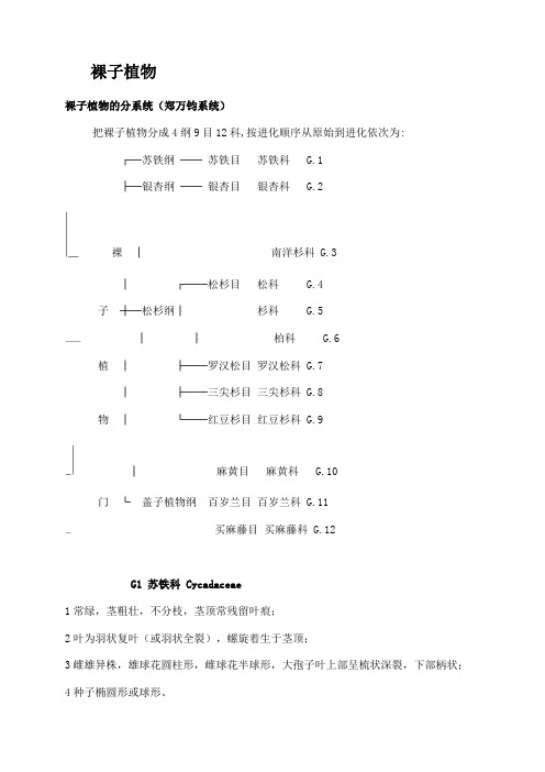 《树木学》的课堂笔记(华南农大)