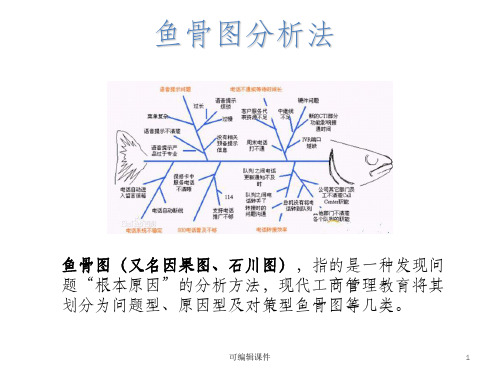 鱼骨图分析法(鱼骨图模板)ppt课件