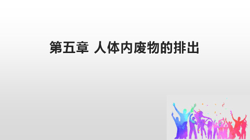 初中生物人教版七年级下册 第五章 人体内废物的排出(课件)