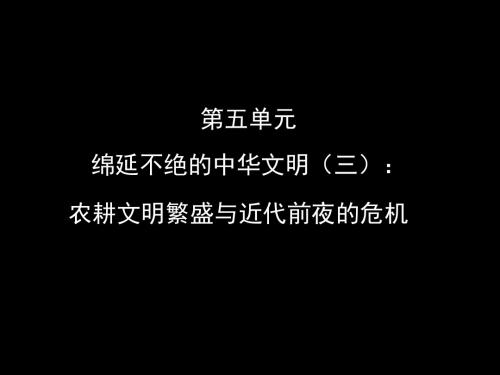 第一课大一统国家的兴盛与农耕经济的繁荣(培训资料)课件(4