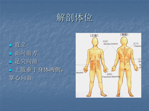 普拉提培训资料