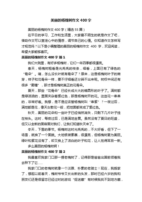 美丽的杨槐树作文400字